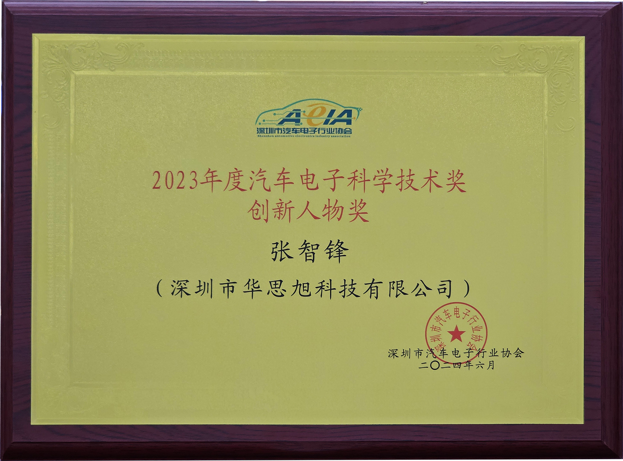 2023年度汽车电子科学技术奖-创新人物奖张智锋